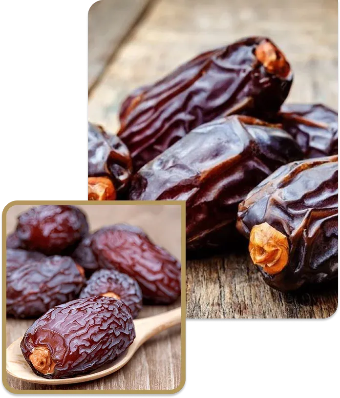 Premium Medjool Dates